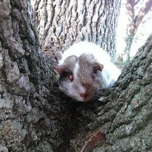 Meet your Posher, Natasha